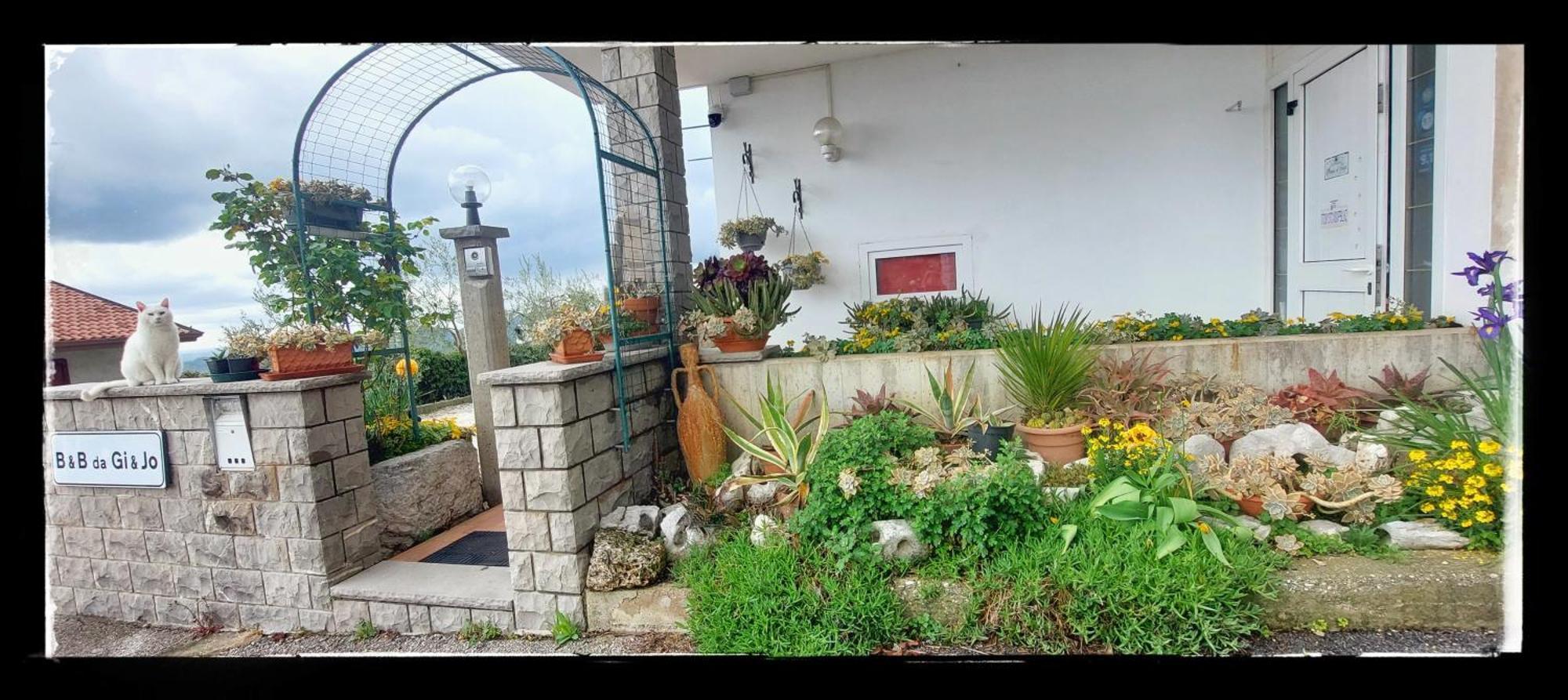 B&B Da Gi&Jo Forgaria nel Friuli 外观 照片