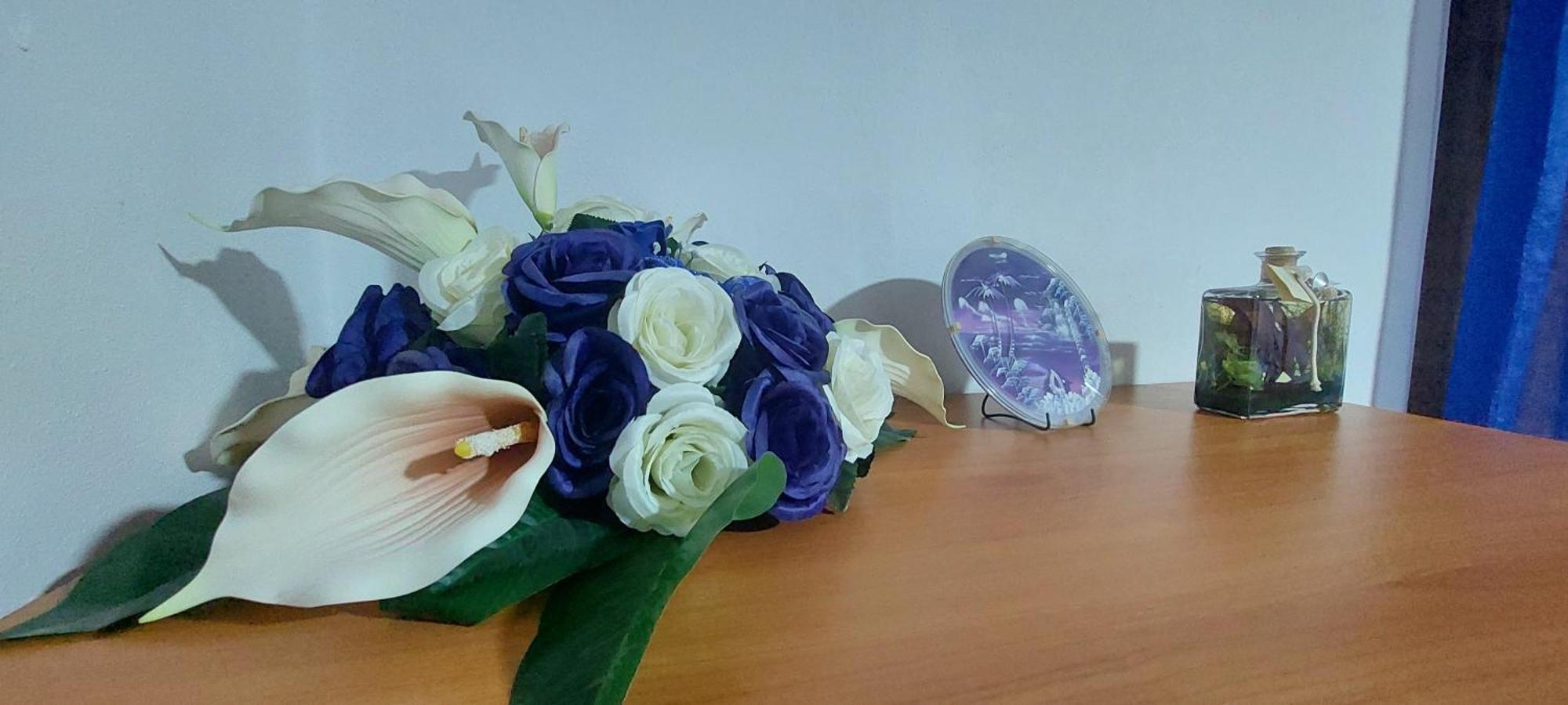 B&B Da Gi&Jo Forgaria nel Friuli 外观 照片